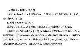临高追款公司：专业解决欠款难题，助力企业稳健发展