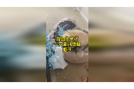讨债人卡组教学：打造高效催收团队的关键
